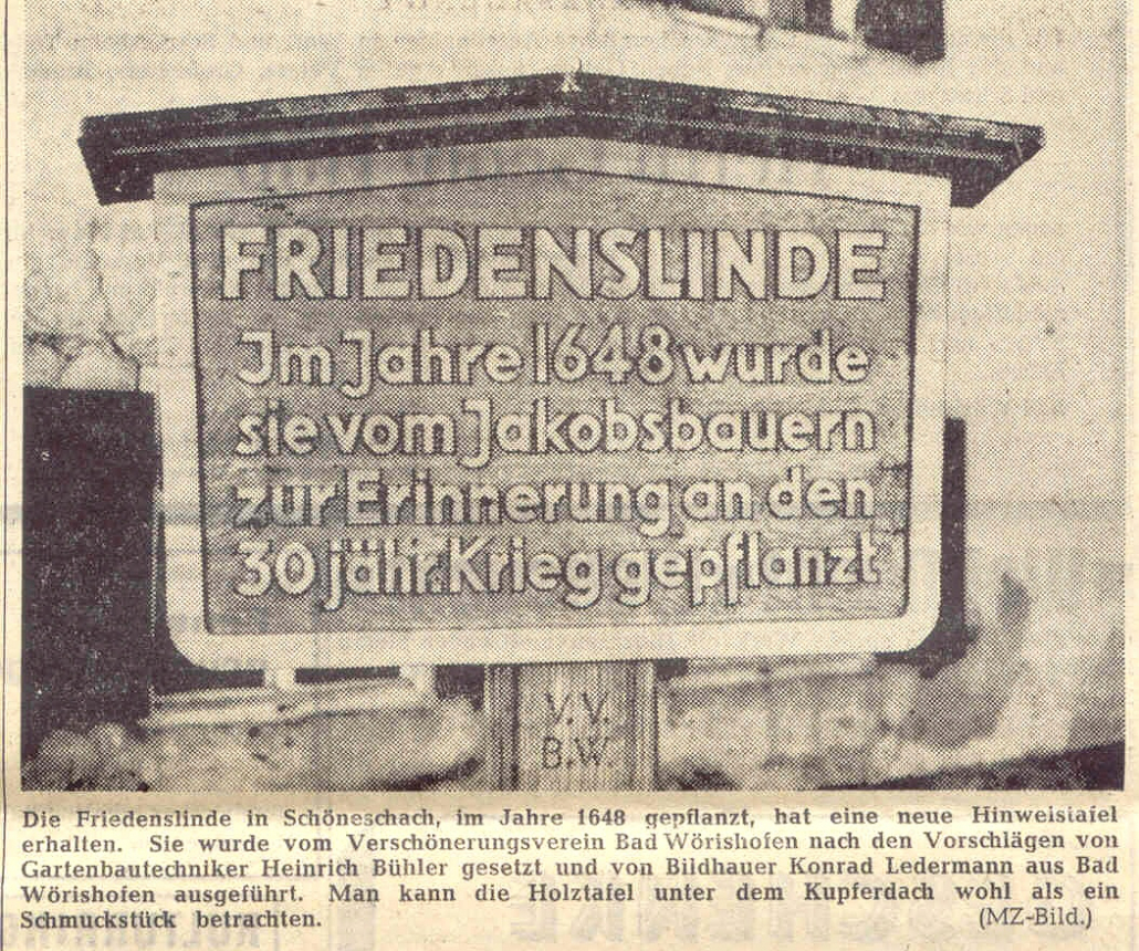 Mindelheimer Zeitung: Bild zu neuem Schild an der Friedenslinde