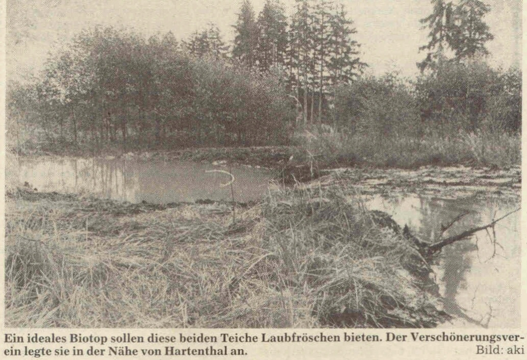 Mindelheimer Zeitung: Ein Teiche für Laubfrösche
