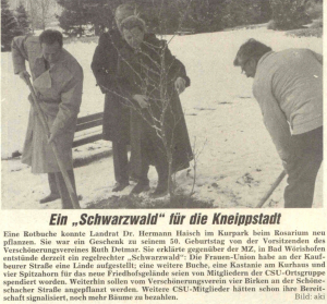 Mindelheimer Zeitung: Ein "Schwarzwald" für die Kneippstadt
