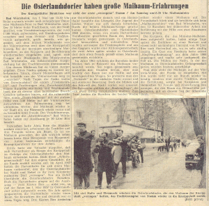 Mindelheimer Zeitung: Die Oberlauchdorfer haben große Maibaum-Erfahrung 
