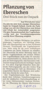 Mindelheimer Zeitung: Pflanzung von Ebereschen