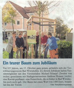 Mindelheimer Zeitung / 27.10.2014: "Ein teurer Baum zum Jubiläum"