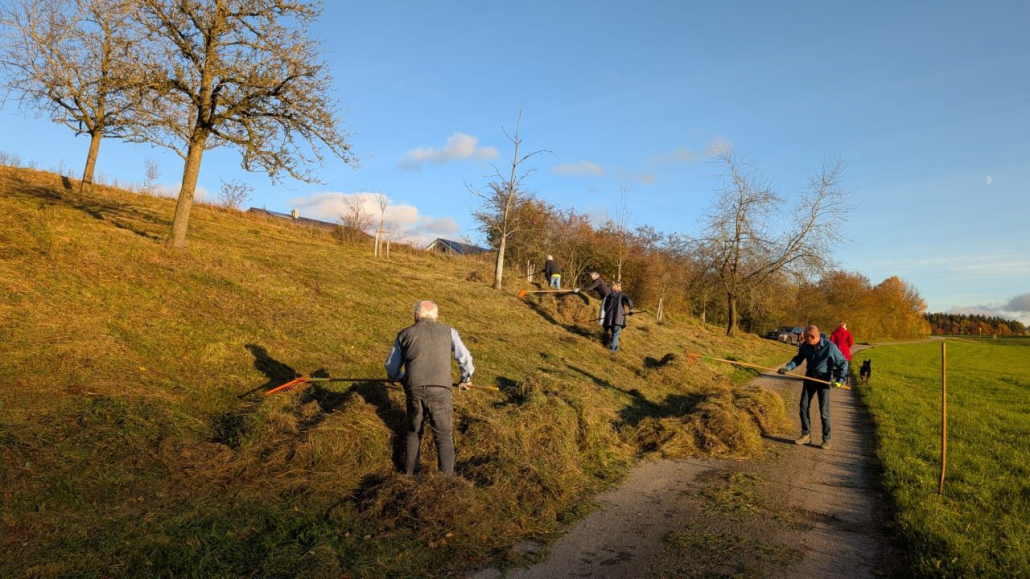 Hang Dorschhausen (1) Heuen am Hang in Dorschhausen