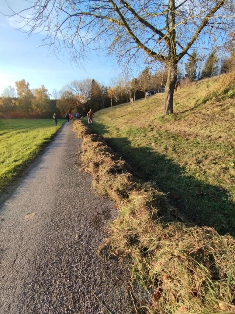 Hang Dorschhausen(1) Heuen am Hang in Dorschhausen