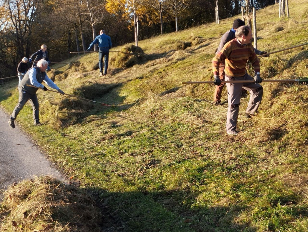 Hang Dorschhausen(6) Heuen am Hang in Dorschhausen