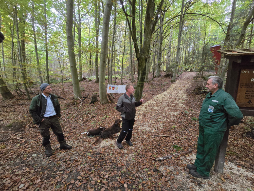 Infoveranstaltung im Staatswald 2025-10-18 .jpg (1) Infoveranstaltung im Staatswald