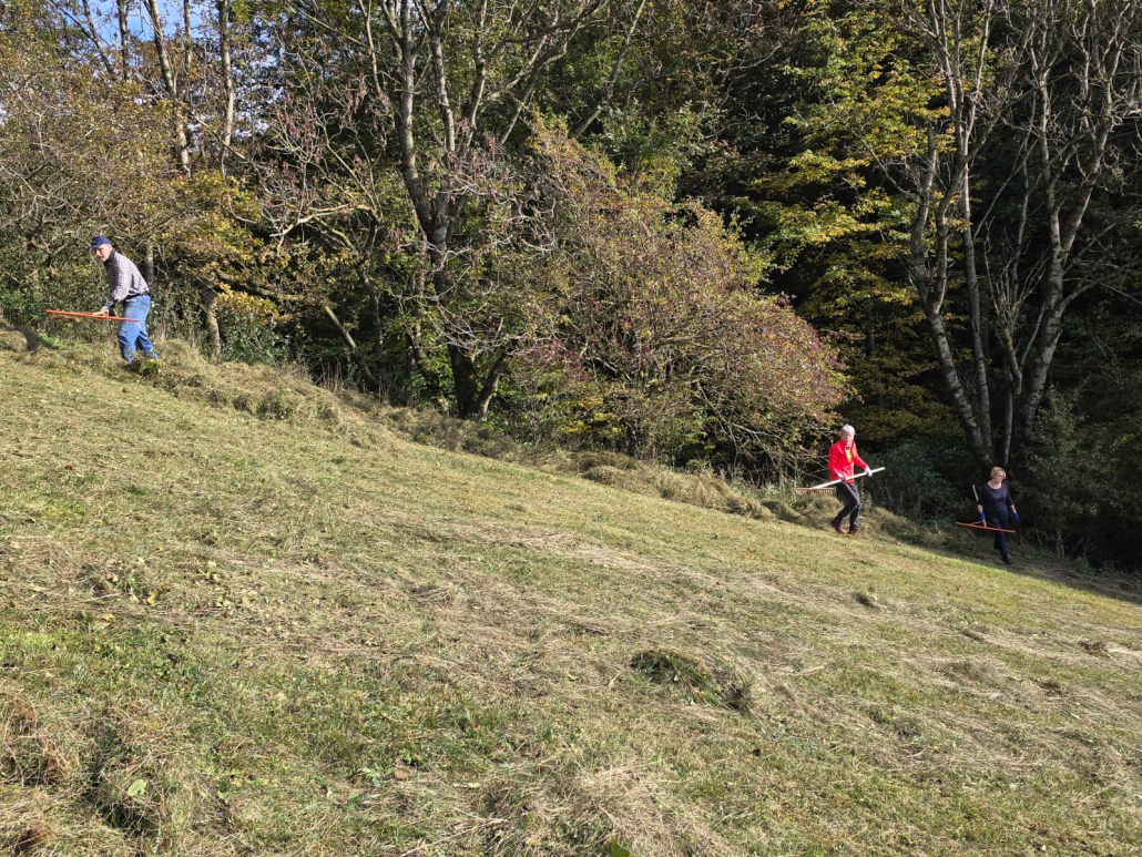 Rechenaktion Mindelau - Stelzenburg 3 Rechenaktion Mindelau - Stelzenburg Im Steilhang