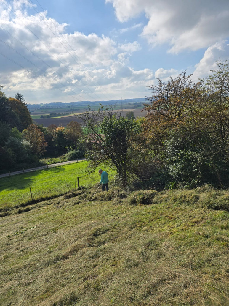 Rechenaktion Mindelau - Stelzenburg 4 Rechenaktion Mindelau