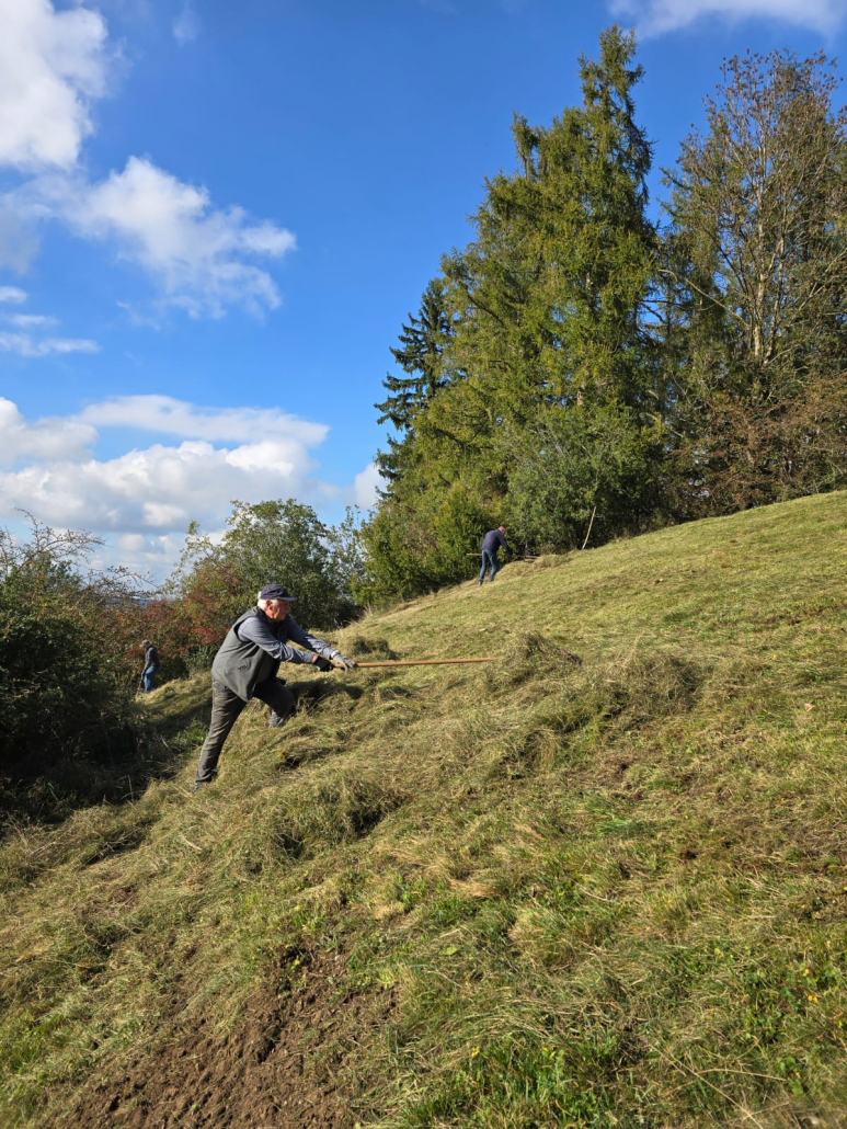 Rechenaktion Mindelau - Stelzenburg 5 Arbeiten im Steilhang