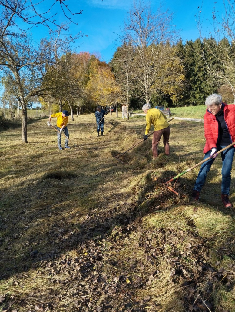 Streuobstwiese Falknerei 21.10.25 (3)