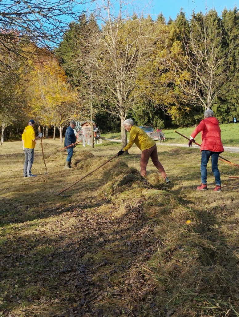 Streuobstwiese Falknerei 21.10.25 (4) Streuobstwiese bei der alten Falknerei