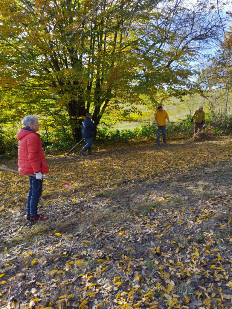 Streuobstwiese Falknerei 21.10.25 (5) Streuobstwiese bei der alten Falknerei