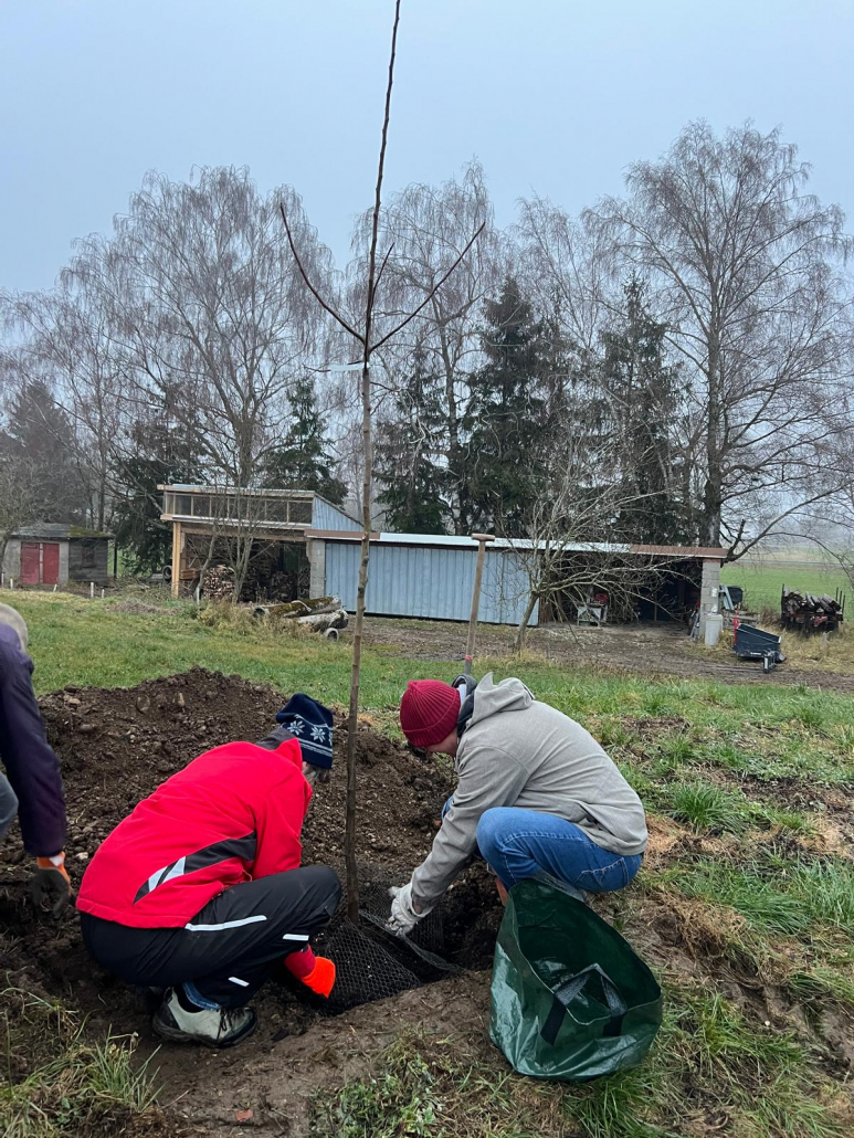 Pfahlinger KERN Garten