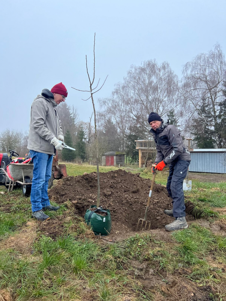 Pfahlinger KERN Garten