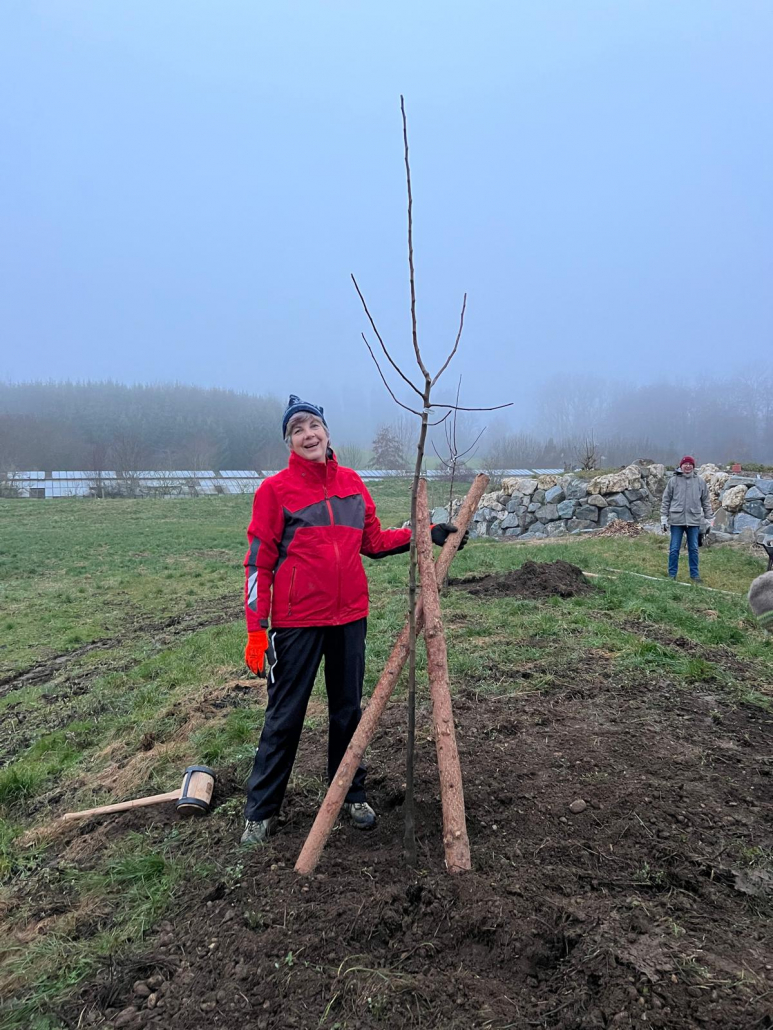 Pfahlinger KERN Garten